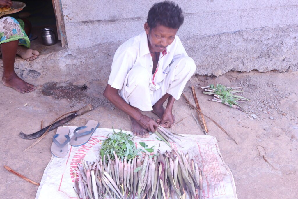 Food Distribution (28)